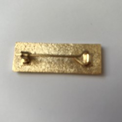 Secretary Lapel Badge Blue