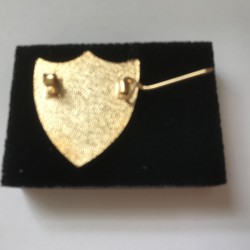 Vice Captain Lapel Badge Blue